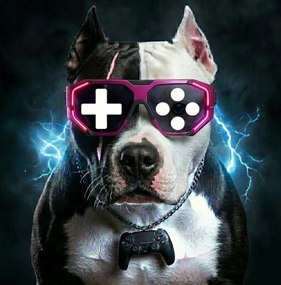 DOGGTA